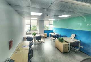 深圳人造合成骨粉制造厂家