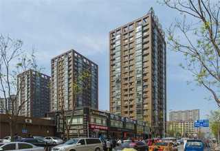 海南花卉绿植批发