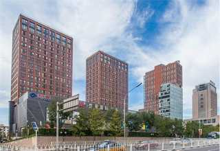 安徽色母粒市场行情