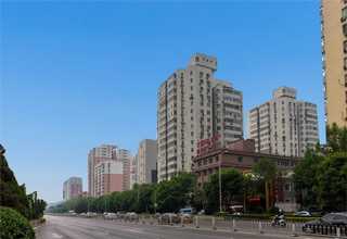 铁西区全价花卉种植认真负责